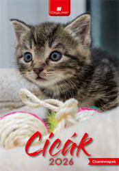 Dayliner Naptár, fali, DAYLINER, Cicák (NFACIB4U) (NFACIB4U)