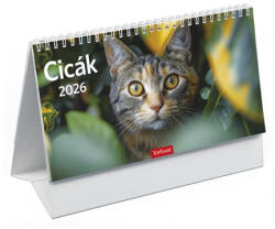 TopTimer Naptár, asztali, álló, TOPTIMER, Cicák (NKT585PU) (NKT585PU)