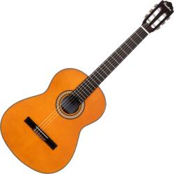 Pasadena PC-100 4/4 Natural Klasszikus gitár