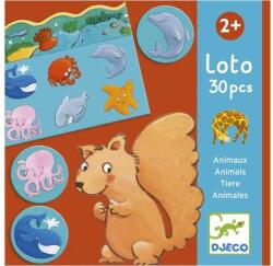 DJECO - Animals - Állatok Élőhelye - Képeslottó, Memóriajáték
