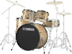 Yamaha RDP2F5CPG Rydeen Champagne Glitter Акустични барабани-комплект (RDP2F5CPG)