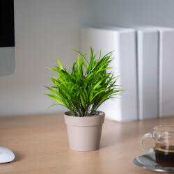 Vog und Arths Műnövény dekoráció - selyemfű - zöld - 15 x 22 cm - 3 féle (11839)