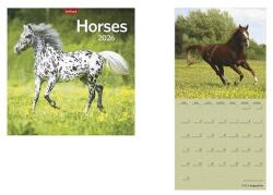 TopTimer Falinaptár TOPTIMER T098 290x580mm álló Horses 2026 (T9800-10A) - robbitairodaszer