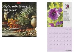 TopTimer Falinaptár TOPTIMER T098 290x580mm álló Gyógynövények-fűszerek 2026 (T9800-16A) - robbitairodaszer