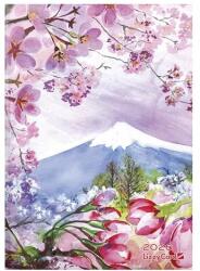 Lizzy Card Határidőnapló LIZZY CARD B/6 napi keménytáblás Mountain 2026 (21785) - robbitairodaszer