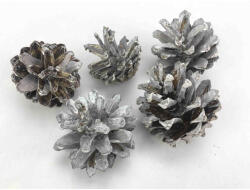 Szürke havas tobozok, 3-4cm, 5db/cs 0934