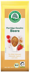 Lebensbaum Condiment bio cu fructe de padure pentru terci, 50 g