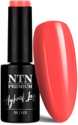 NTN Premium UV/LED Géllakk 91# (HEMA Free)