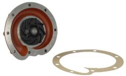 THERMOTEC Pompă de apă, răcire motor THERMOTEC WP-CA172 (WP-CA172)