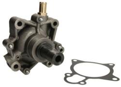 THERMOTEC Pompă de apă, răcire motor THERMOTEC WP-IV123 (WP-IV123)