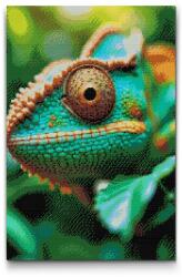 Gyémántszemes kirakó - Kaméleonszem Méret: 40x60cm, Keretezés: Kartonlemezen, Gyémántok: Négyzet alakú