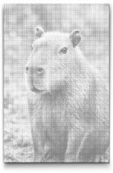  PontPöttyöző - Kapibara az erdőben Méret: 40x60cm, Keretezés: Kartonlemezen, Szín: Fekete