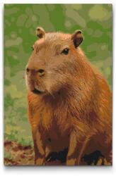  Festés számok szerint - Kapibara az erdőben Méret: 40x60cm, Keretezés: Kartonlemezen