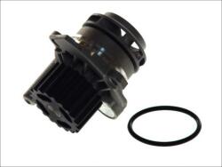 THERMOTEC Pompă de apă, răcire motor THERMOTEC D1W039TT (D1W039TT)