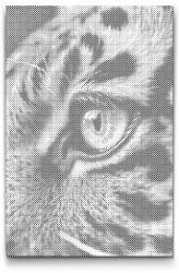  PontPöttyöző - Tigrisszem Méret: 40x60cm, Keretezés: Műanyagtáblával, Szín: Fekete