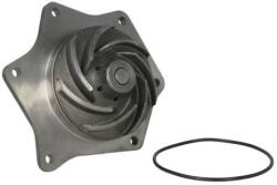 THERMOTEC Pompă de apă, răcire motor THERMOTEC WP-CA168 (WP-CA168)