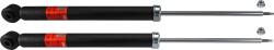 TRW amortizor TRW TWIN JGT1110T (JGT1110T)