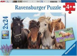 Ravensburger - Puzzle 2x24 Horse love - 1 - 39 piese