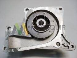 MOTAQUIP Pompă de apă, răcire motor MOTAQUIP LVWP985 (LVWP985)