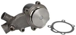 THERMOTEC Pompă de apă, răcire motor THERMOTEC WP-PK123 (WP-PK123)