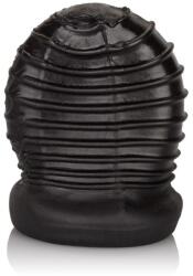 CalExotics CalExotics Packer Gear FTM Stroker