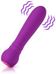 FemmeFunn Ultra Bullet Violet Vibrator