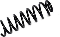 Asam Automotive Arc spiral ASAM AUTOMOTIVE 75969 (75969)