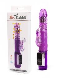 Pretty Love Vibrator Mr. Rabbit violet Vibrator