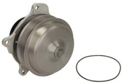 THERMOTEC Pompă de apă, răcire motor THERMOTEC WP-DF124 (WP-DF124)