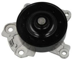 THERMOTEC Pompă de apă, răcire motor THERMOTEC D12096TT (D12096TT)