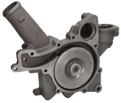 THERMOTEC Pompă de apă, răcire motor THERMOTEC WP-MN154 (WP-MN154)