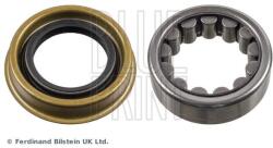 BLUE PRINT Set rulment roata BLUE PRINT ADA108310 (ADA108310) - automobilus