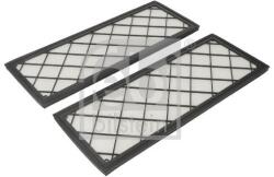 Febi Bilstein Set 2 filtre HEPA, aer habitaclu FEBI BILSTEIN pentru Tesla Model Y 182566 (182566)