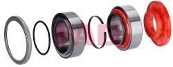 Schaeffler FAG Rulment roata Schaeffler FAG Repair Insert Unit 803750.10. H195 (803750.10.H195)
