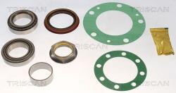 TRISCAN Set rulment roata TRISCAN 8530 16261 (8530 16261) - automobilus