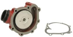 THERMOTEC Pompă de apă, răcire motor THERMOTEC WP-DZ106 (WP-DZ106)