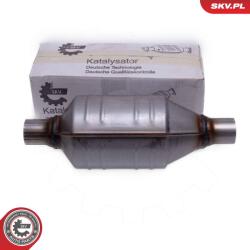 ESEN SKV Catalizator, universal ESEN SKV 62SKV096 (62SKV096)
