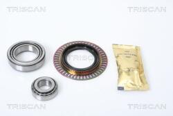 TRISCAN Set rulment roata TRISCAN 8530 23119 (8530 23119) - automobilus