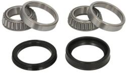 BTA Set rulment roata BTA H11002BTA (H11002BTA) - automobilus