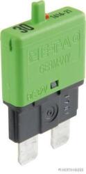 Herth+buss Elparts Automat siguranta HERTH+BUSS ELPARTS 50295906099 (50295906099)