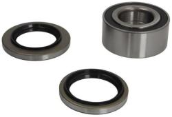 BTA Set rulment roata BTA H15009BTA (H15009BTA) - automobilus