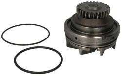 THERMOTEC Pompă de apă, răcire motor THERMOTEC WP-RV115 (WP-RV115)