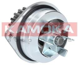 KAMOKA Pompă de apă, răcire motor KAMOKA T0079 (T0079)