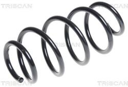 TRISCAN Arc spiral TRISCAN 8750 29309 (8750 29309) - automobilus