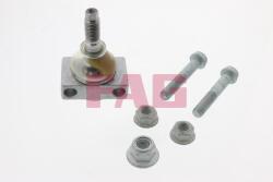 Schaeffler FAG Cap de bara Schaeffler FAG 825 0093 10 (825 0093 10)