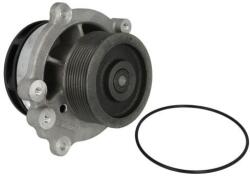 THERMOTEC Pompă de apă, răcire motor THERMOTEC WP-DF113 (WP-DF113)