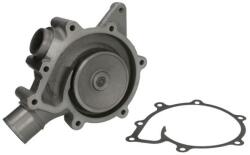 THERMOTEC Pompă de apă, răcire motor THERMOTEC WP-RV123 (WP-RV123)