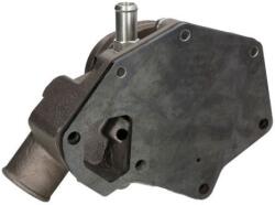 THERMOTEC Pompă de apă, răcire motor THERMOTEC WP-JD108 (WP-JD108)