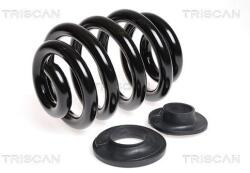 TRISCAN Arc spiral TRISCAN 8750 29137 (8750 29137) - automobilus