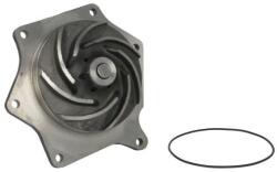 THERMOTEC Pompă de apă, răcire motor THERMOTEC WP-CA170 (WP-CA170)